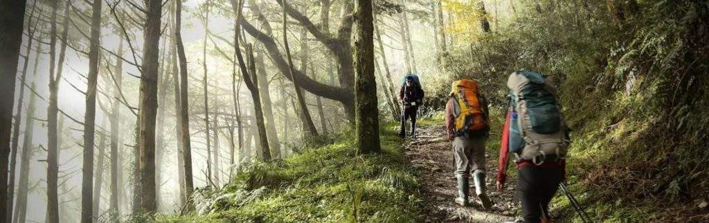 Activities | Hiking