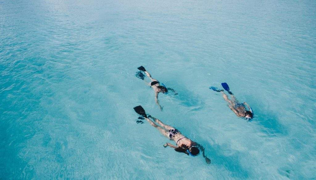 Activities | Diving