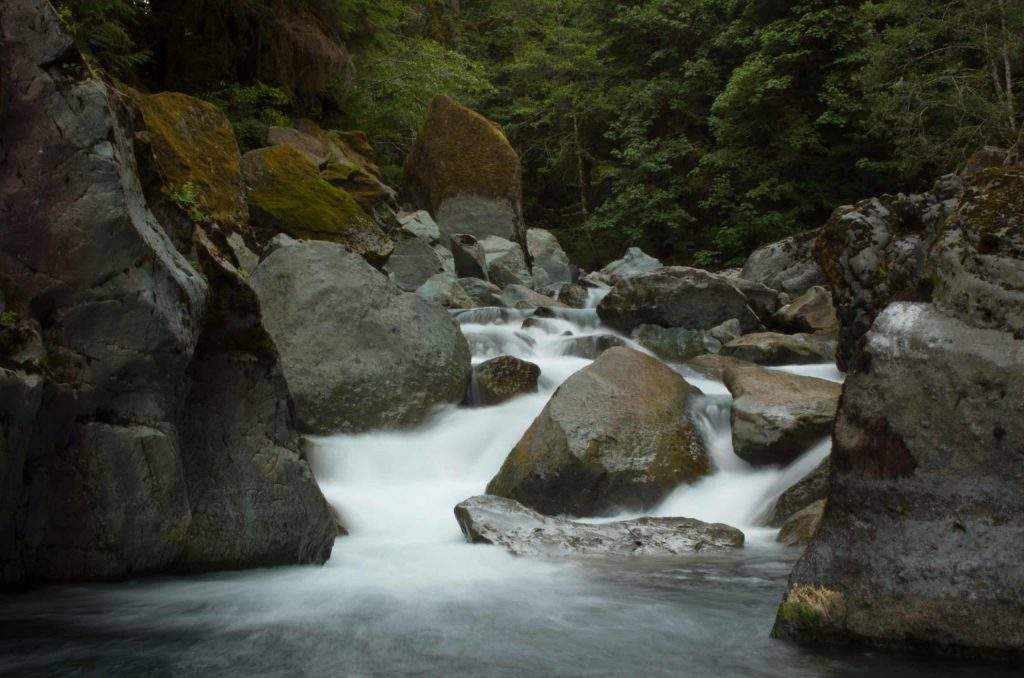 Activities | River Tracing