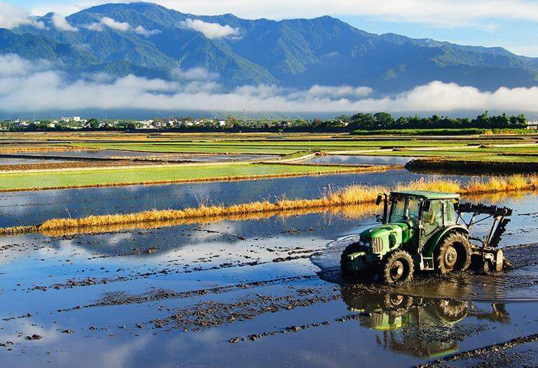 休閒農遊-DiscoverTaitung-發現台東