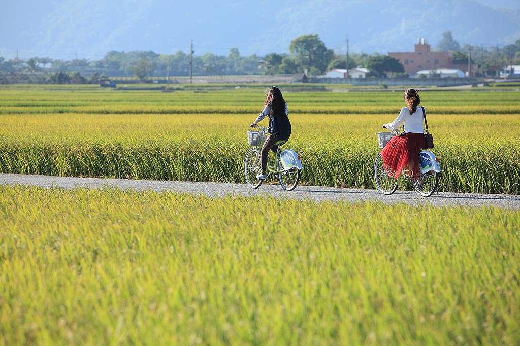 台東旧鉄道跡