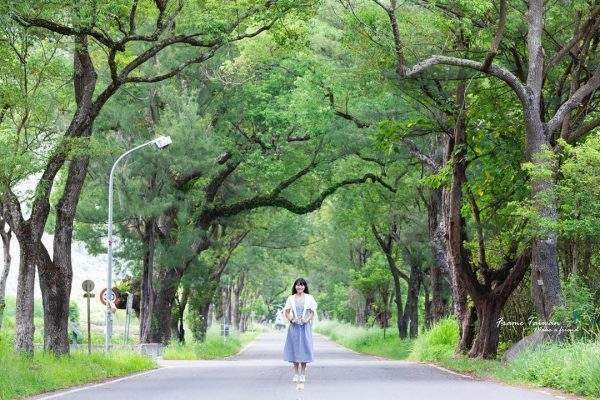 Wuling Green Tunnel