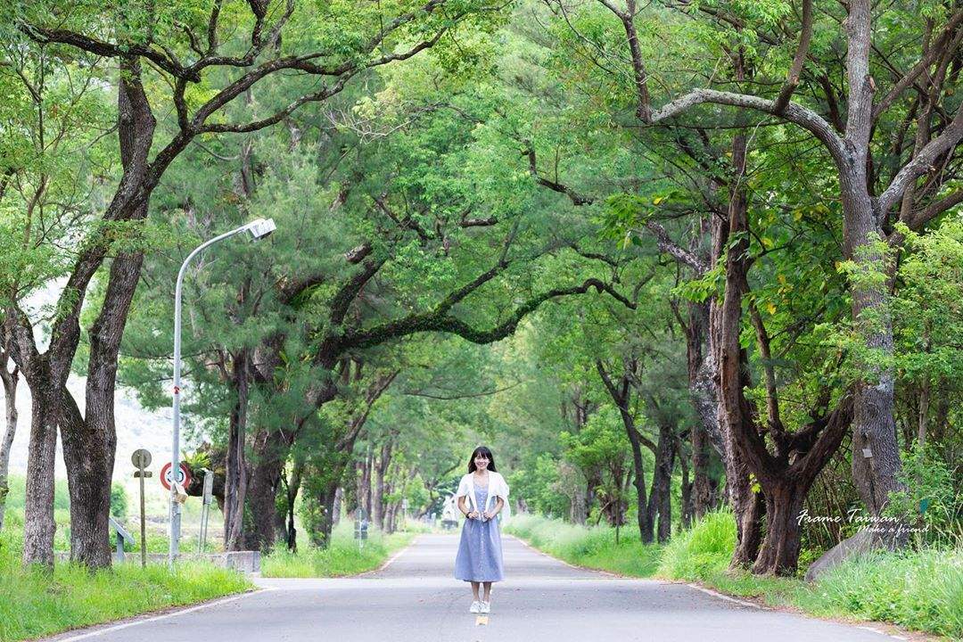 07_武陵綠色隧道@frametaiwan Wuling Green Tunnel
