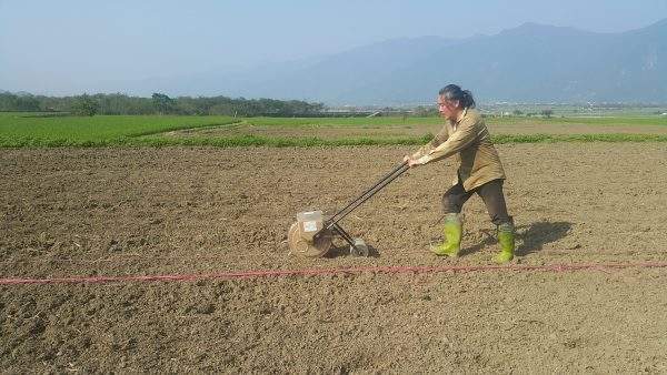 豆芳華