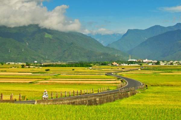 池上伯朗大道