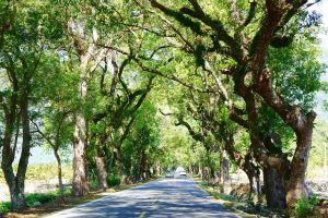 四箇所目：和の農村風景—鹿野龍田村