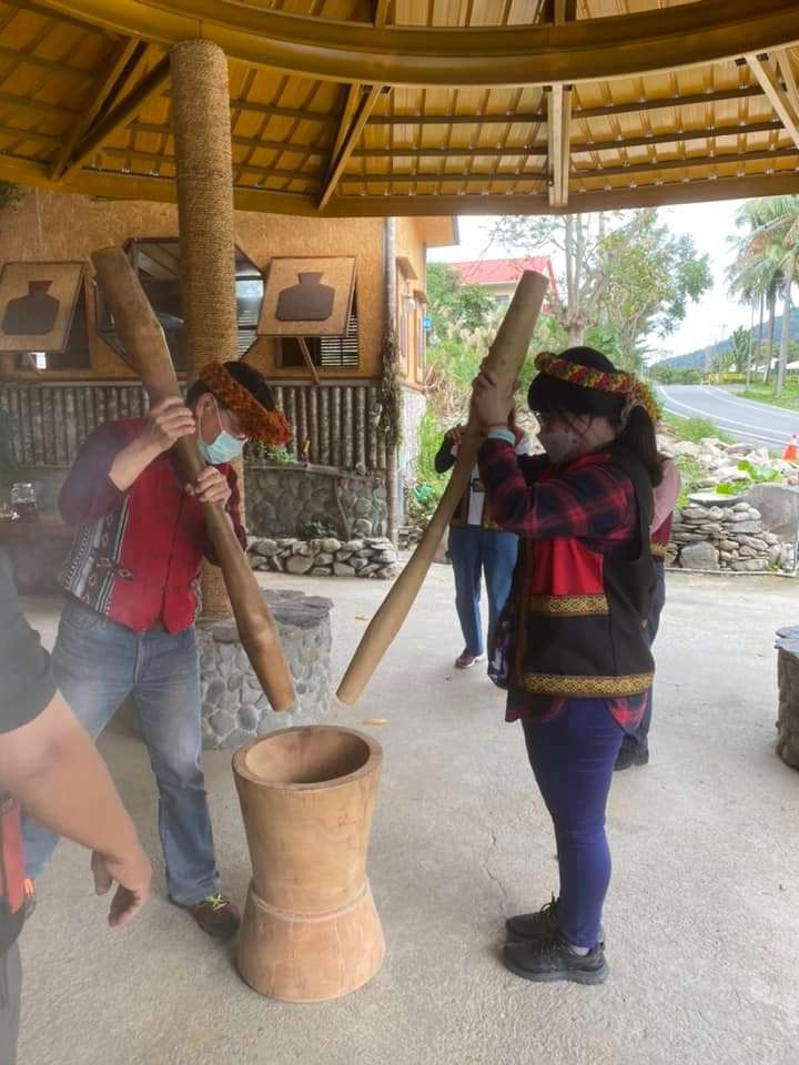 Taste Specialty Meals — Try out Bamboo Picking