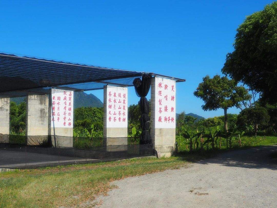 林旺製茶廠@taipeiloveoutdoor 三八果茶がもたらすお茶と果物の香り マッチした二つの香り