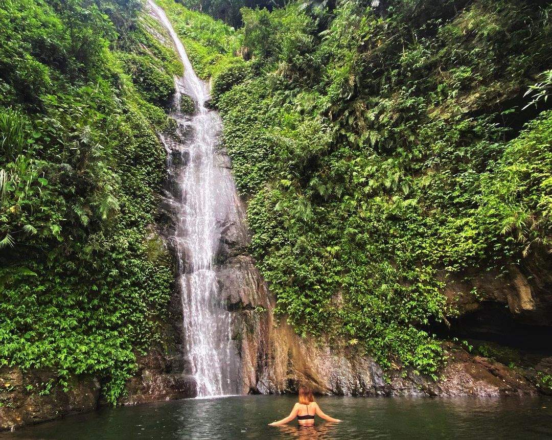 Hide Out in a Natural Air-Conditioned Room—Zhiben Forest Road Waterfall Path