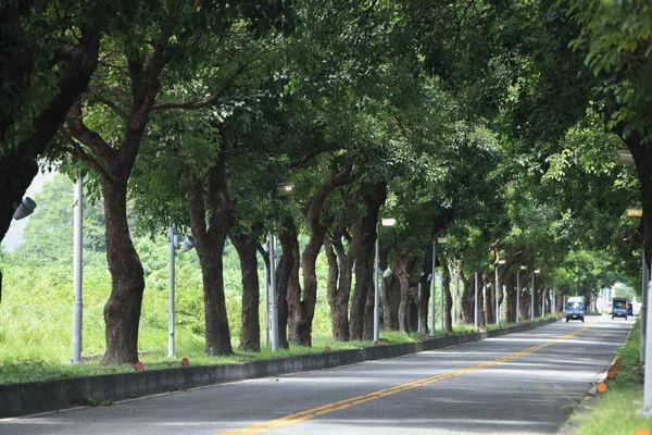 Land Blessed by its Ancestors- Lijia Tribal Village Cultural Experience ...