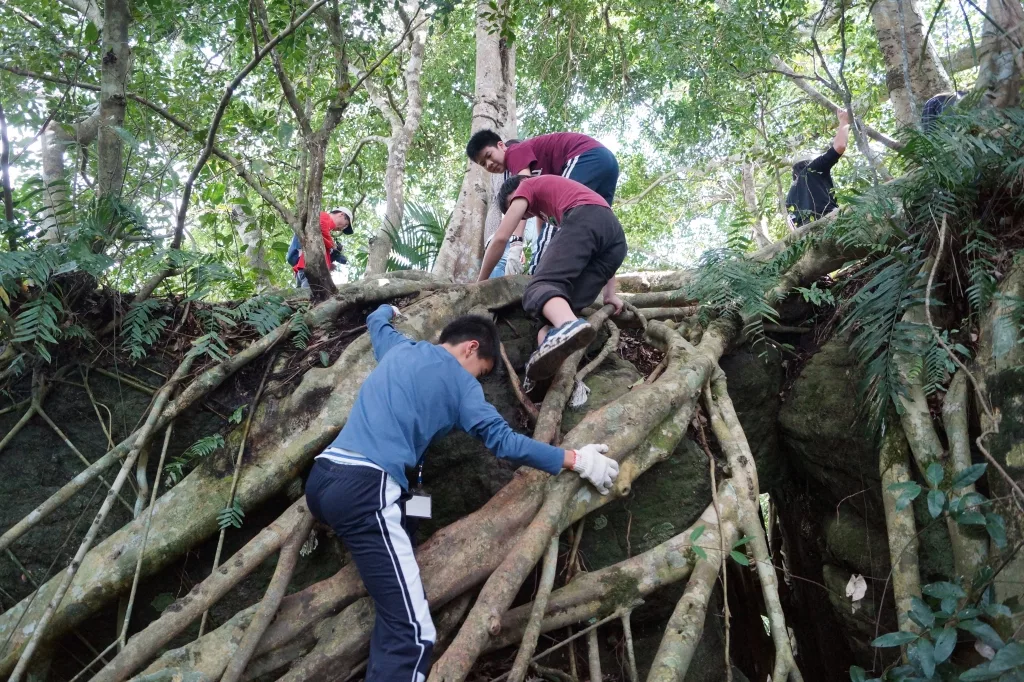 圖片來源：鸞山森林文化博物館官網