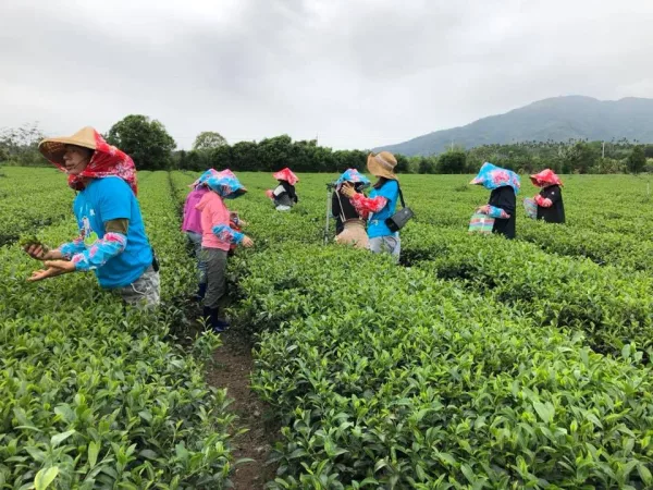 圖片來源 饗嚮台東 官網 600x450