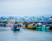 The Interweaving Of Taitung's Marlin And Marine Culture