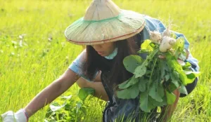 Guanshan Turnip Festival