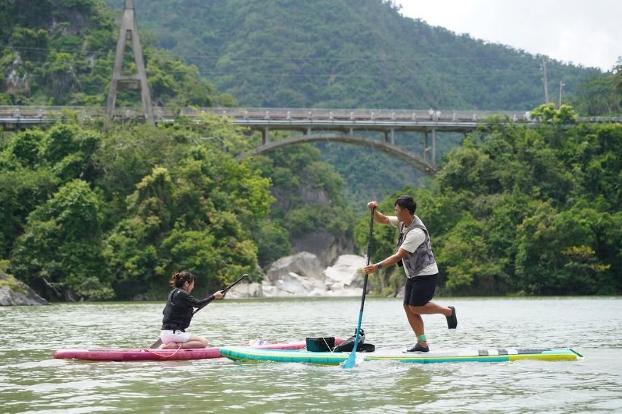 Amstylemia Amstylemia