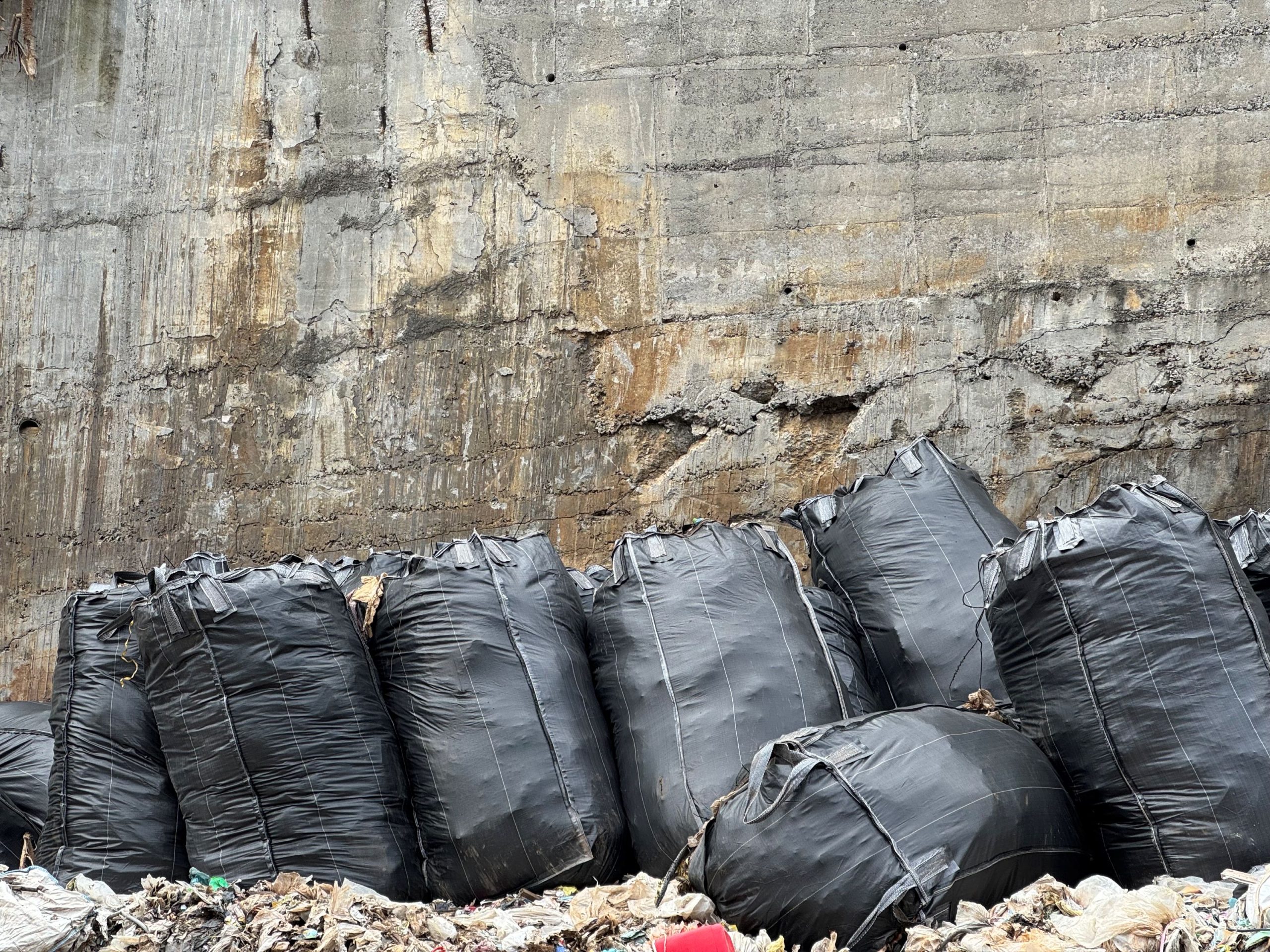 6e92506f 7dae 4680 Bb3d 30463eb8c2e7