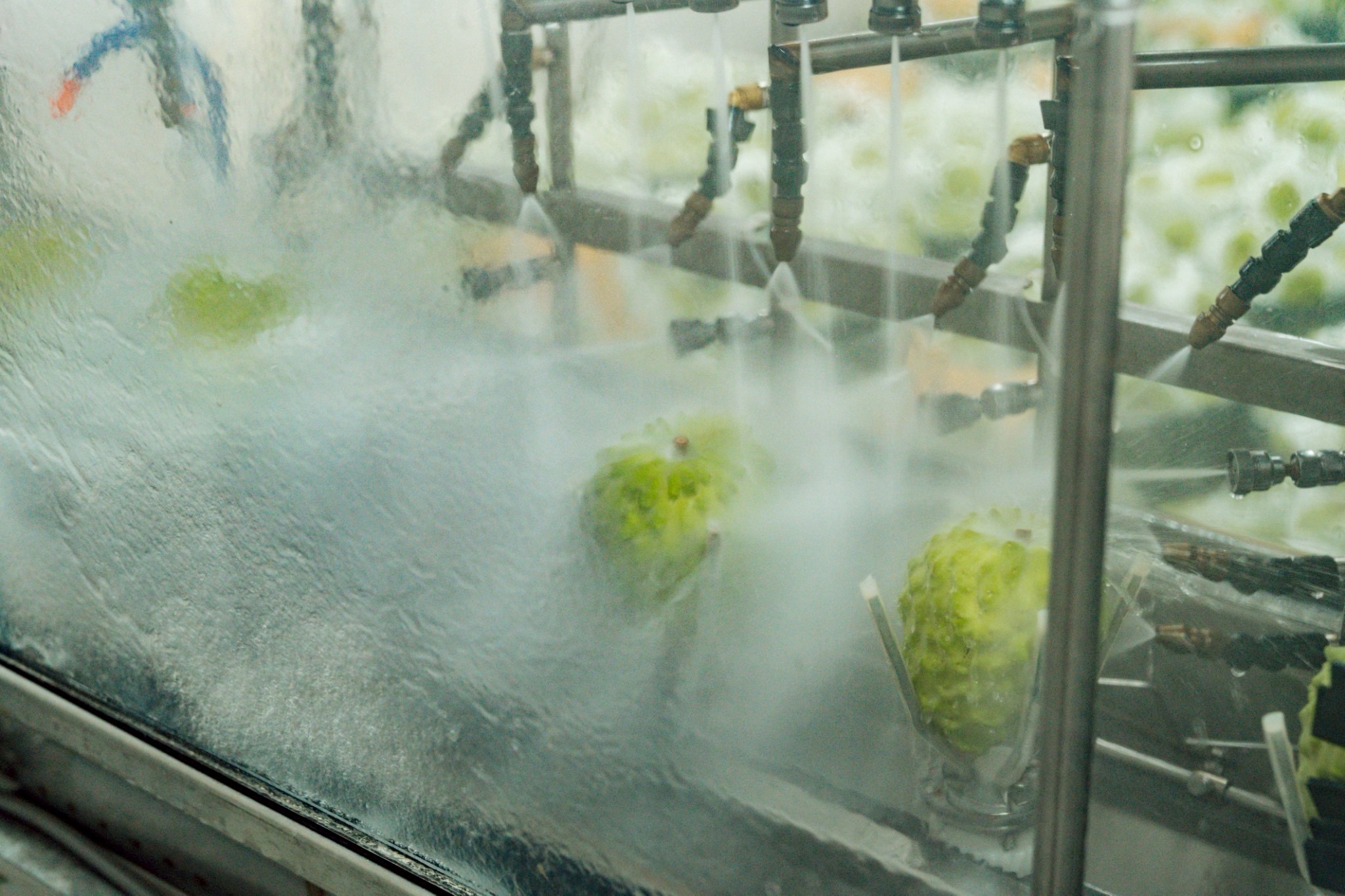 1b1b09ff Cd39 4023 Ae4d 584c1cb6c222