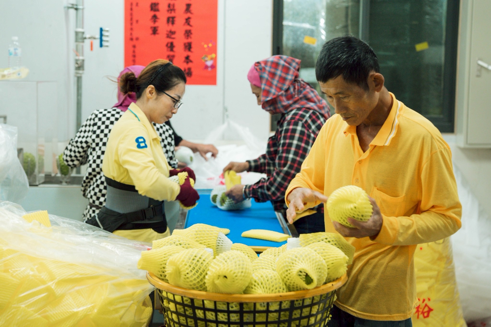 2f0f8f43 Ba1d 4336 A591 Cc4411239d39