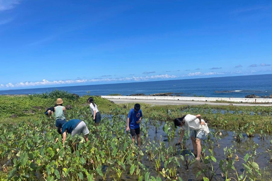 蘭嶼魚尾人手作工坊 (2)