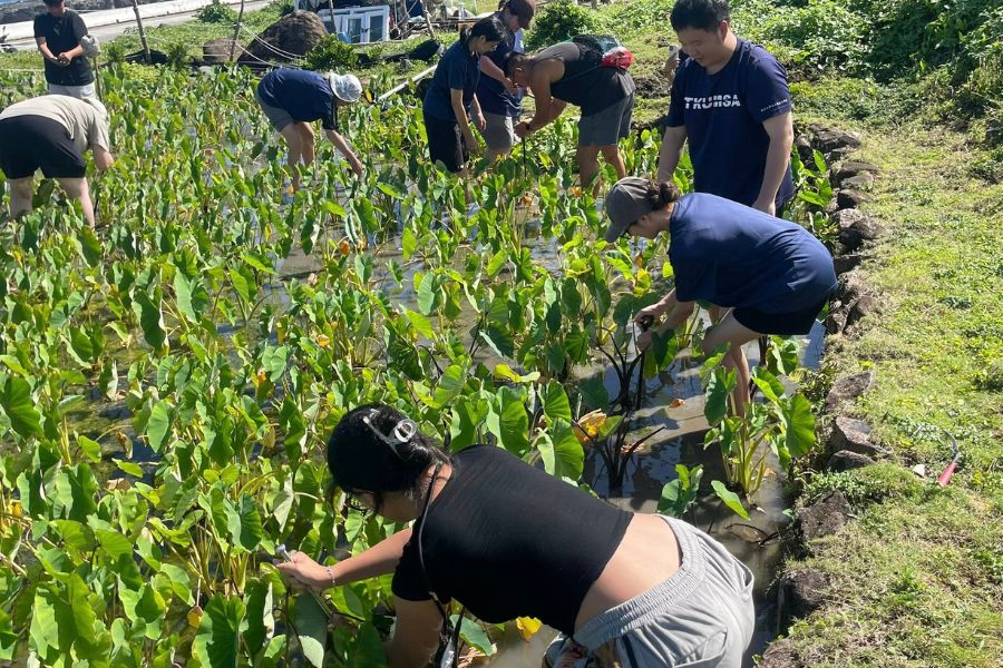 蘭嶼魚尾人手作工坊