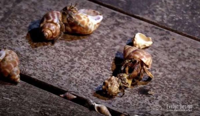 3.jpg 的副本(1) 3.jpg 的副本(1)