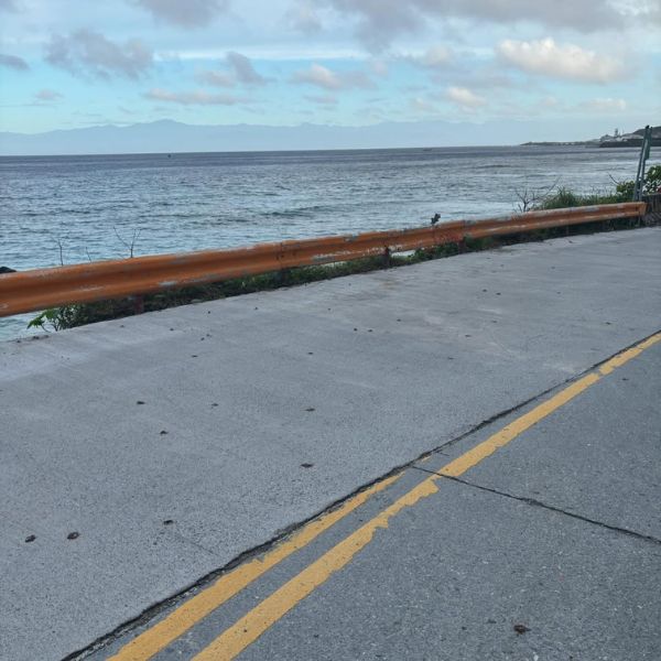 台東緑島のカニ保護総動員 陸ガニとヤドカリの帰路を守る