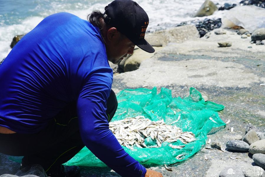 Codlet Taitung 1