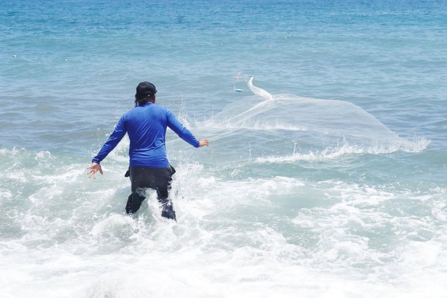 Codlet Taitung 5