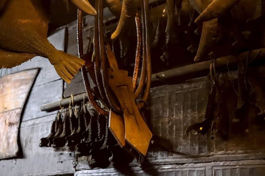 Bbo1 Bbo1
