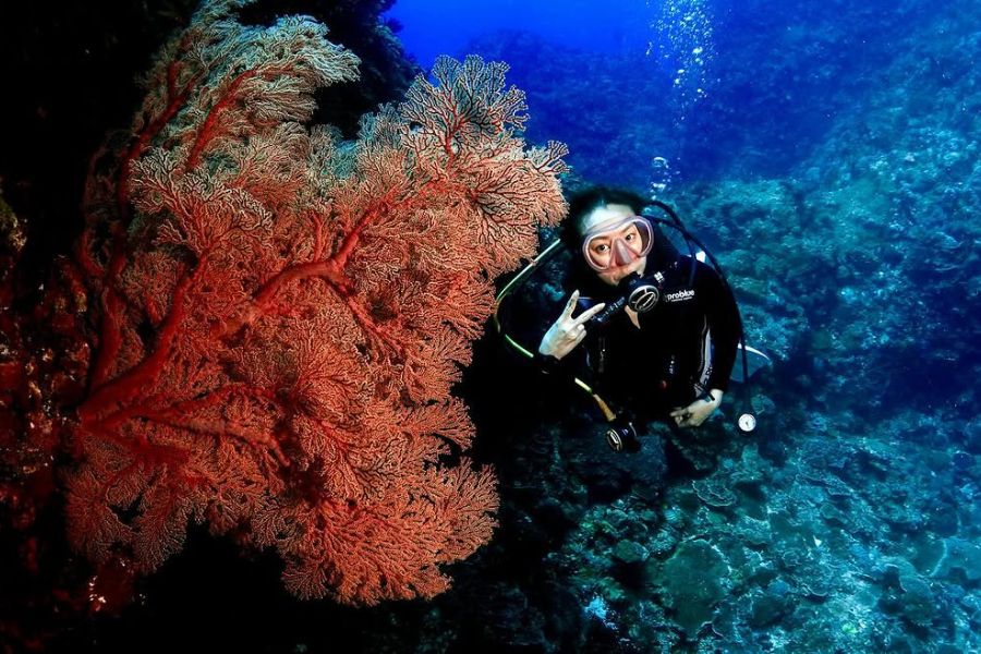 Coral Gina1