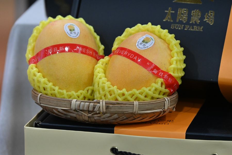 Mango G Two Sun Farm Summer Snow mangoes in a bamboo basket atop a branded gift box, Taitung, summer 2026