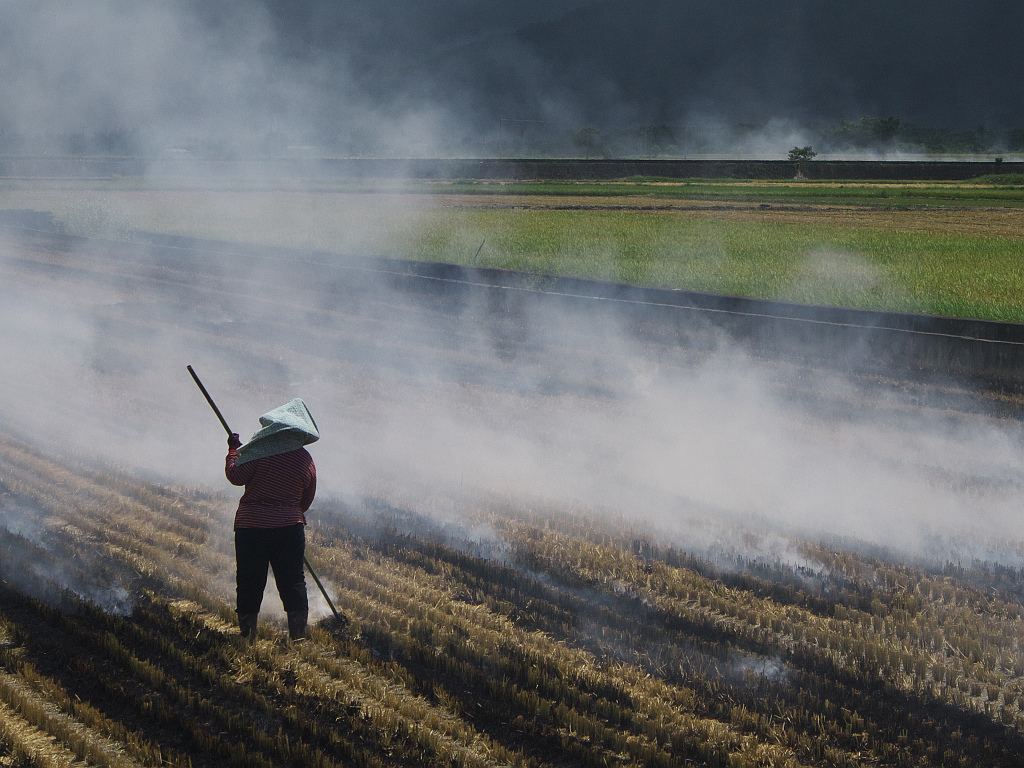 A farmer burning rice stubble in a Chihshang field in 2014