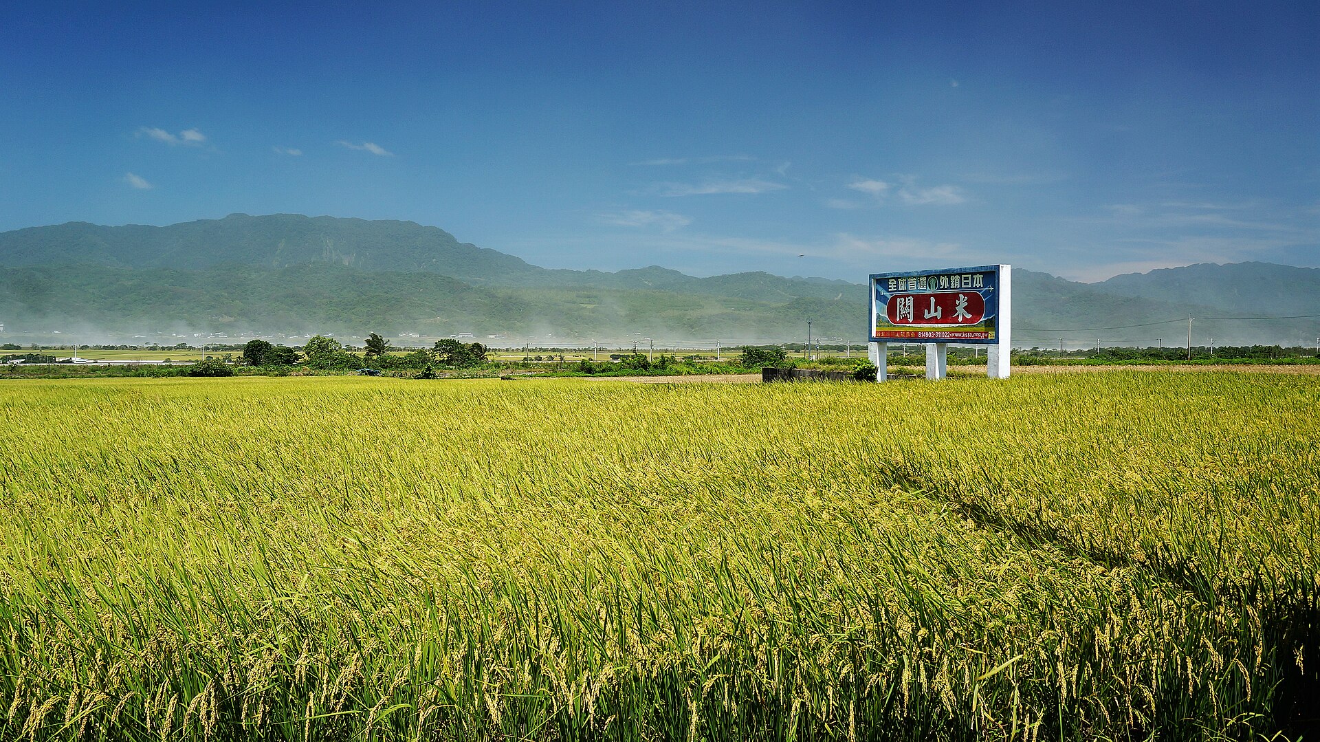 Wide rice paddies in Guanshan Township, Taitung
